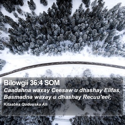 Bilowgii 36:4 SOM Bible Verse Image