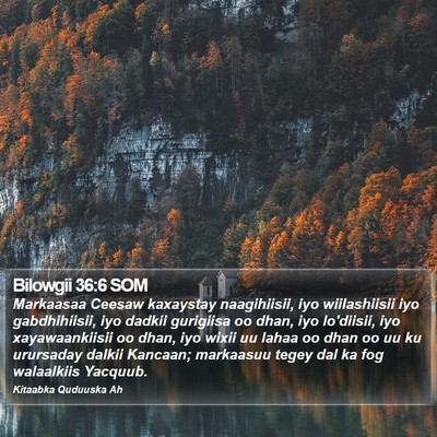 Bilowgii 36:6 SOM Bible Verse Image