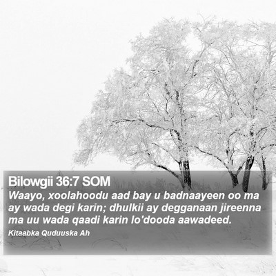 Bilowgii 36:7 SOM Bible Verse Image