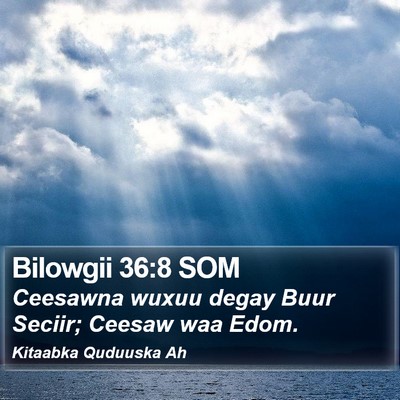 Bilowgii 36:8 SOM Bible Verse Image
