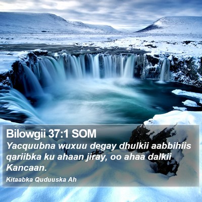 Bilowgii 37:1 SOM Bible Verse Image