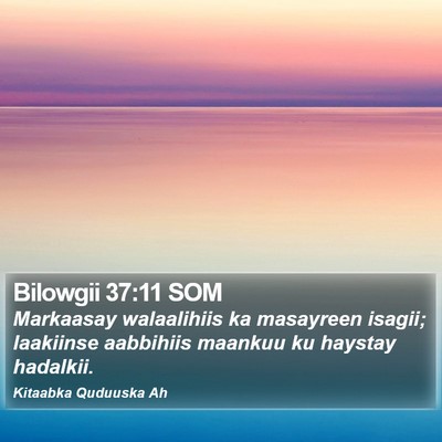 Bilowgii 37:11 SOM Bible Verse Image