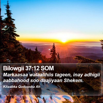 Bilowgii 37:12 SOM Bible Verse Image