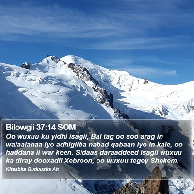 Bilowgii 37:14 SOM Bible Verse Image