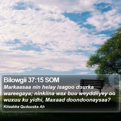 Bilowgii 37:15 SOM Bible Verse Image
