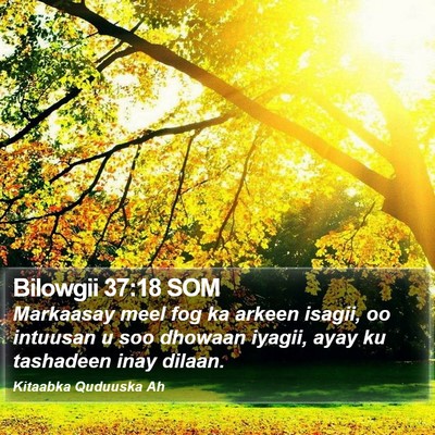 Bilowgii 37:18 SOM Bible Verse Image