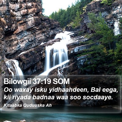 Bilowgii 37:19 SOM Bible Verse Image