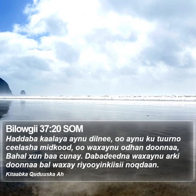 Bilowgii 37:20 SOM Bible Verse Image
