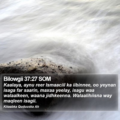 Bilowgii 37:27 SOM Bible Verse Image
