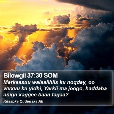 Bilowgii 37:30 SOM Bible Verse Image