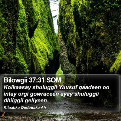 Bilowgii 37:31 SOM Bible Verse Image