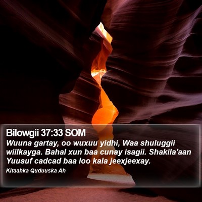 Bilowgii 37:33 SOM Bible Verse Image