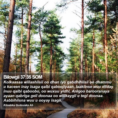 Bilowgii 37:35 SOM Bible Verse Image