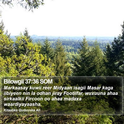 Bilowgii 37:36 SOM Bible Verse Image