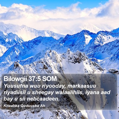 Bilowgii 37:5 SOM Bible Verse Image
