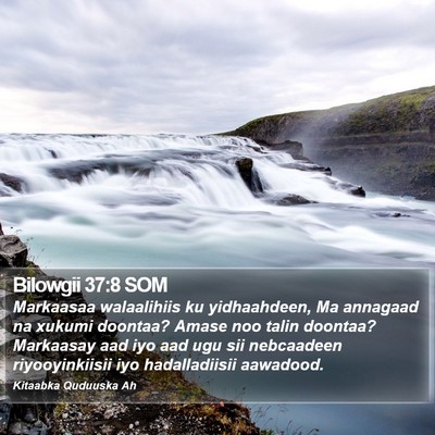 Bilowgii 37:8 SOM Bible Verse Image