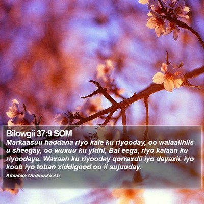 Bilowgii 37:9 SOM Bible Verse Image
