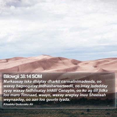 Bilowgii 38:14 SOM Bible Verse Image
