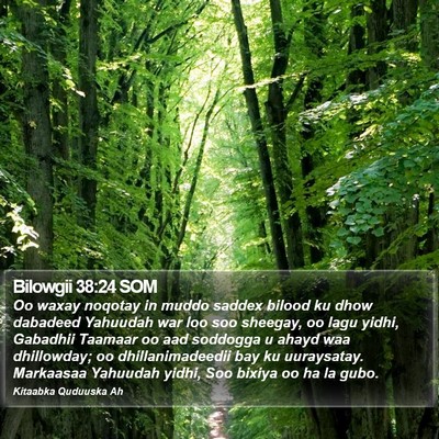 Bilowgii 38:24 SOM Bible Verse Image