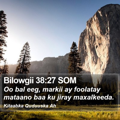 Bilowgii 38:27 SOM Bible Verse Image