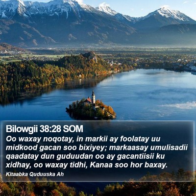 Bilowgii 38:28 SOM Bible Verse Image
