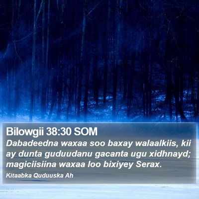 Bilowgii 38:30 SOM Bible Verse Image