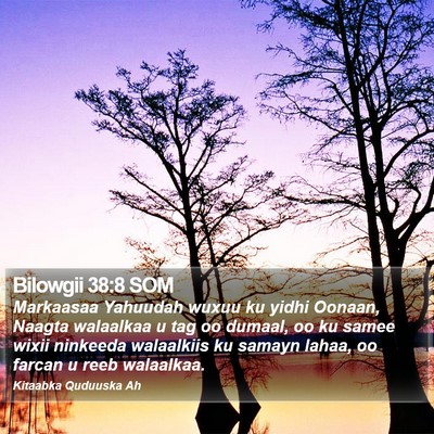 Bilowgii 38:8 SOM Bible Verse Image