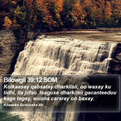 Bilowgii 39:12 SOM Bible Verse Image