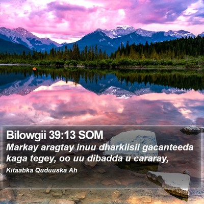 Bilowgii 39:13 SOM Bible Verse Image