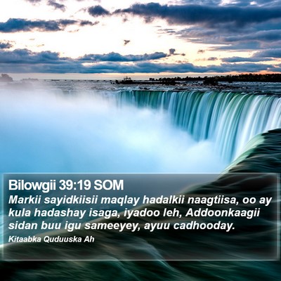 Bilowgii 39:19 SOM Bible Verse Image