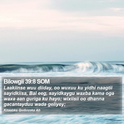 Bilowgii 39:8 SOM Bible Verse Image