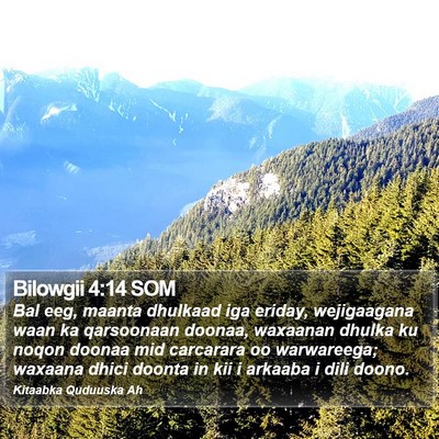 Bilowgii 4:14 SOM Bible Verse Image