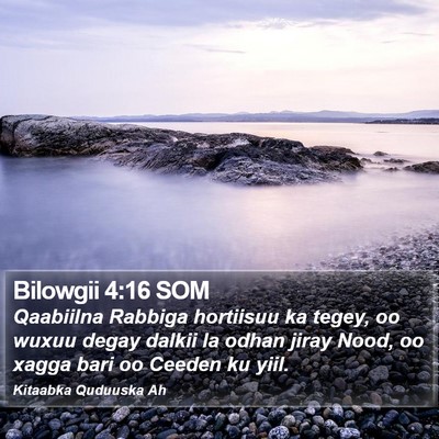 Bilowgii 4:16 SOM Bible Verse Image
