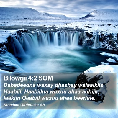 Bilowgii 4:2 SOM Bible Verse Image