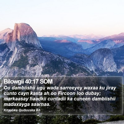 Bilowgii 40:17 SOM Bible Verse Image