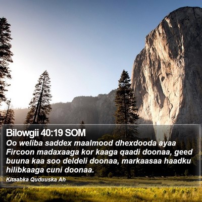 Bilowgii 40:19 SOM Bible Verse Image