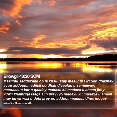 Bilowgii 40:20 SOM Bible Verse Image