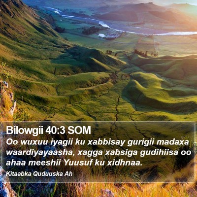 Bilowgii 40:3 SOM Bible Verse Image