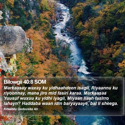 Bilowgii 40:8 SOM Bible Verse Image