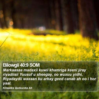 Bilowgii 40:9 SOM Bible Verse Image