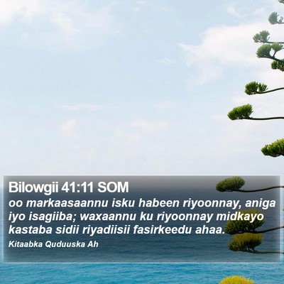 Bilowgii 41:11 SOM Bible Verse Image