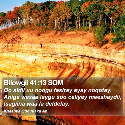 Bilowgii 41:13 SOM Bible Verse Image