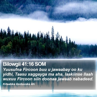 Bilowgii 41:16 SOM Bible Verse Image