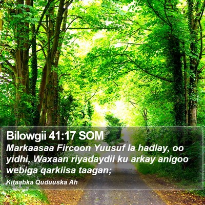 Bilowgii 41:17 SOM Bible Verse Image