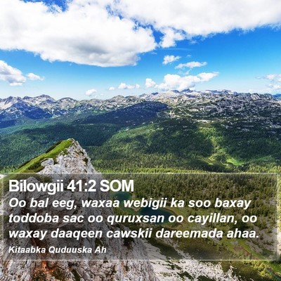 Bilowgii 41:2 SOM Bible Verse Image