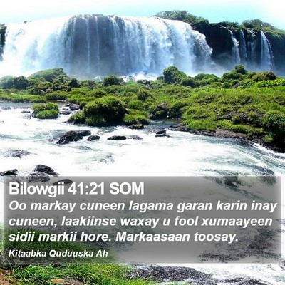 Bilowgii 41:21 SOM Bible Verse Image