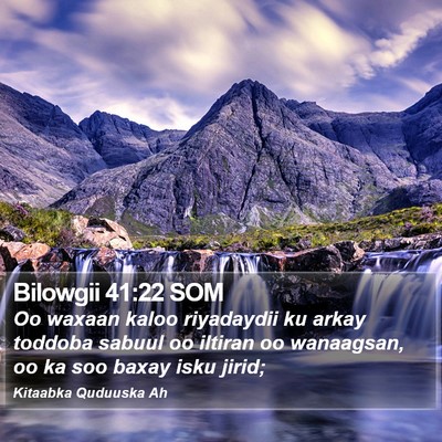 Bilowgii 41:22 SOM Bible Verse Image