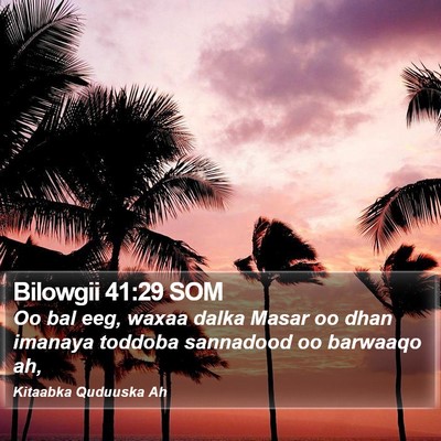 Bilowgii 41:29 SOM Bible Verse Image