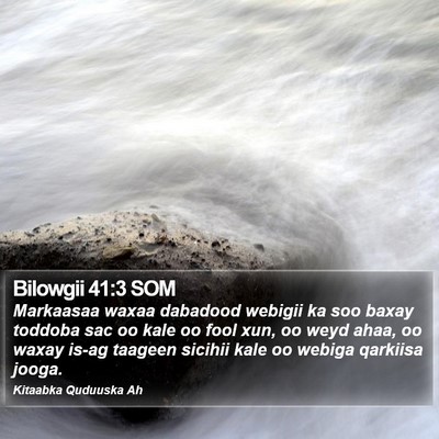 Bilowgii 41:3 SOM Bible Verse Image