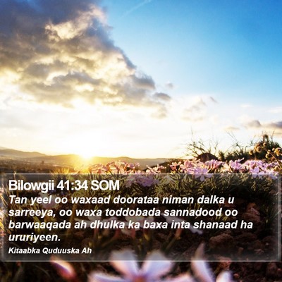 Bilowgii 41:34 SOM Bible Verse Image